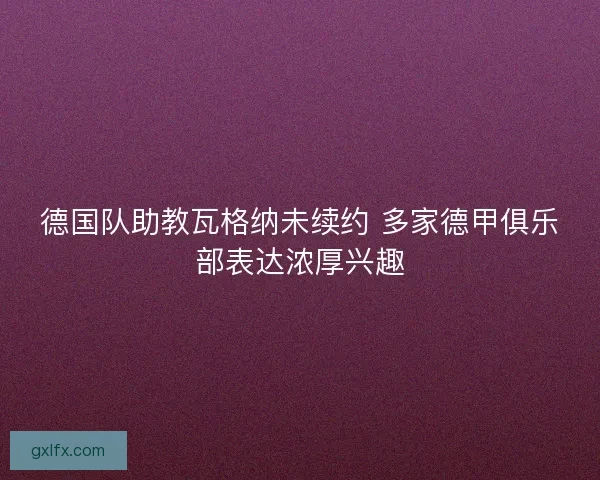 德国队助教瓦格纳未续约 多家德甲俱乐部表达浓厚兴趣